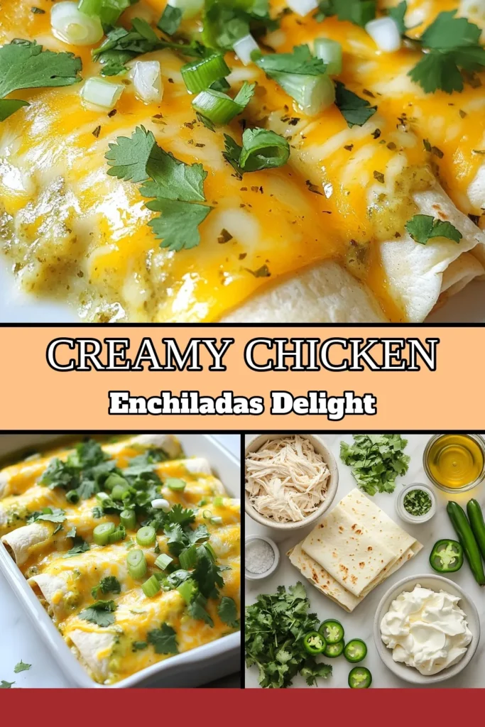Indulge in the rich flavors of creamy chicken enchiladas with this easy white chicken enchiladas recipe! Perfect for a family meal, these baked chicken enchiladas are filled with a deliciously creamy blend of chicken, cream cheese, and spices, all topped with a homemade green enchilada sauce recipe. Discover how to make easy enchiladas with cream cheese that everyone will love. Save this recipe for your next dinner! #CreamyChickenEnchiladas #WhiteChickenEnchiladas #DinnerIdeas #MexicanRecipes